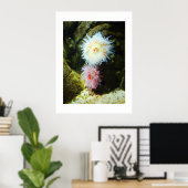 Seeanemone Poster (Heimbüro)