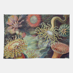 Seeanemone wissenschaftliche Natur Ozean Handtuch