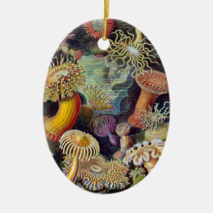 Seeanemone wissenschaftliche Natur Ozean Keramikornament