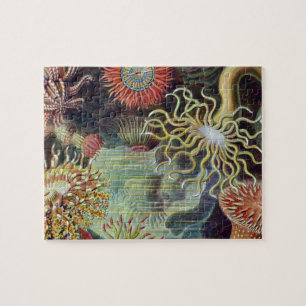 Seeanemone wissenschaftliche Natur Ozean Puzzle