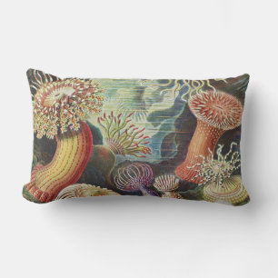 Seeanemonen, Actiniae Seeanemonen Ernst Haeckel Lendenkissen