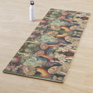 Seeanemonen, Actiniae Seeanemonen Ernst Haeckel Yogamatte