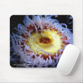 Seeanemonen-Mausunterlage Mousepad (Mit Mouse)