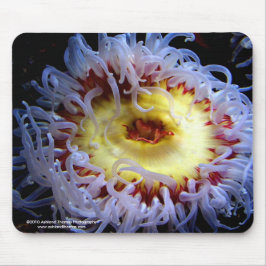 Seeanemonen-Mausunterlage Mousepad