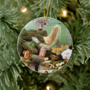 Seeanemonen Meeresleben, Vintage-Ozean-Tiere Keramikornament