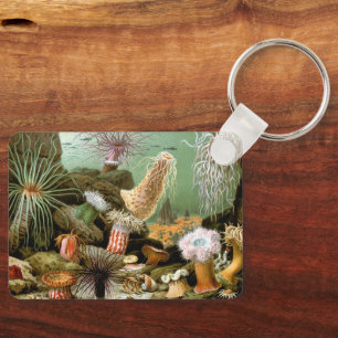 Seeanemonen Meeresleben, Vintage-Ozean-Tiere Schlüsselanhänger