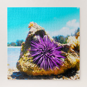 Seeanemonen Puzzle
