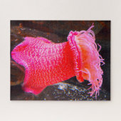 Seeanemonen Puzzle (Horizontal)