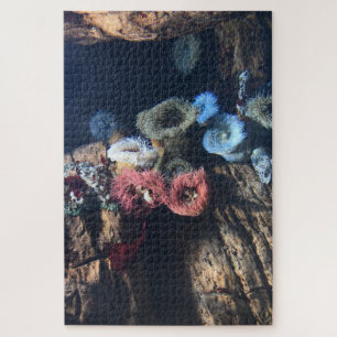 Seeanemonen. Puzzle