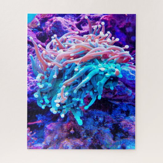 Seeanemonen Puzzle (Vertikal)