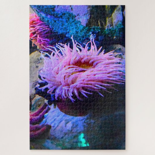 Seeanemonen. Puzzle (Vertikal)