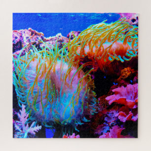 Seeanemonen Puzzle