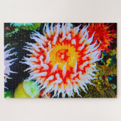 Seeanemonen Puzzle (Horizontal)