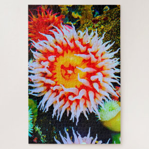 Seeanemonen Puzzle