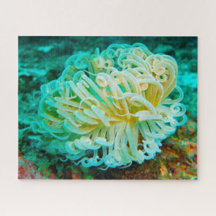 Seeanemonen Puzzle
