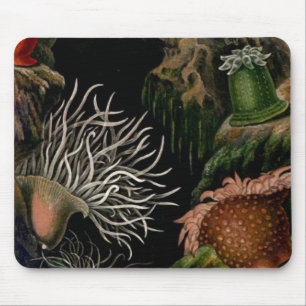 Seeanemonen-SeeMeereswelt Mousepad