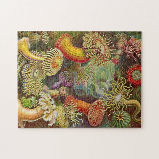 Seeanemonen-Vintage Illustration Puzzle (Horizontal)