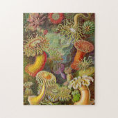 Seeanemonen-Vintage Illustration Puzzle (Vertikal)