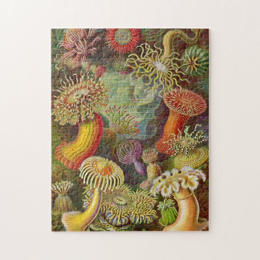 Seeanemonen-Vintage Illustration Puzzle (Vertikal)
