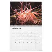 Seeanemonen-Wandkalender Kalender (Feb 2026)
