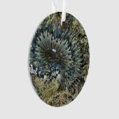 Seeanemonen-Weihnachtsverzierung Ornament (Vorderseite)
