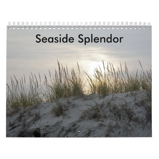Seebadeplatz Kalender (Titelbild)