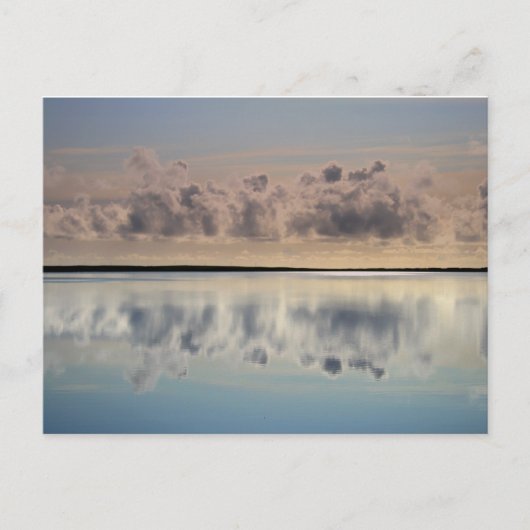 Seebarbe Postkarte (Vorderseite)