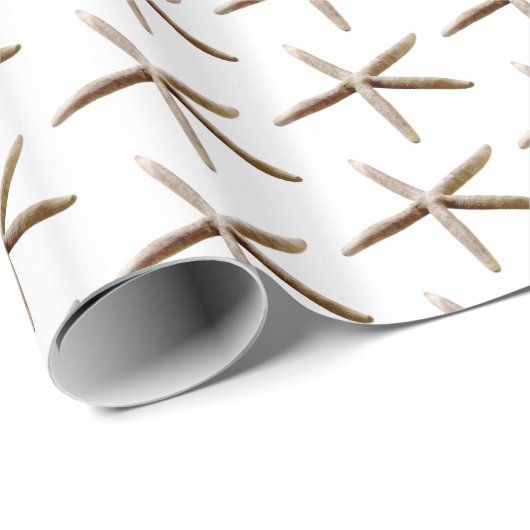 Seebarsch Geschenkpapier (Rolleneckpunkt)