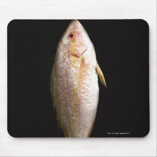 Seebarsch Mousepad