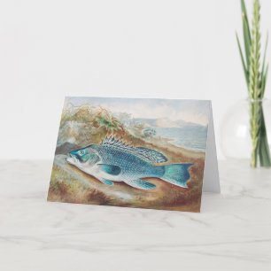 Seebarsch von S.A. Kilbourne, Vintage Fisch Karte