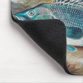 Seebarsch von S.A. Kilbourne, Vintage Fisch Mousepad (Ecke)