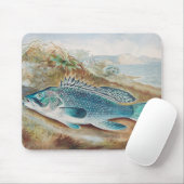 Seebarsch von S.A. Kilbourne, Vintage Fisch Mousepad (Mit Mouse)