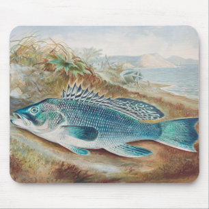 Seebarsch von S.A. Kilbourne, Vintage Fisch Mousepad