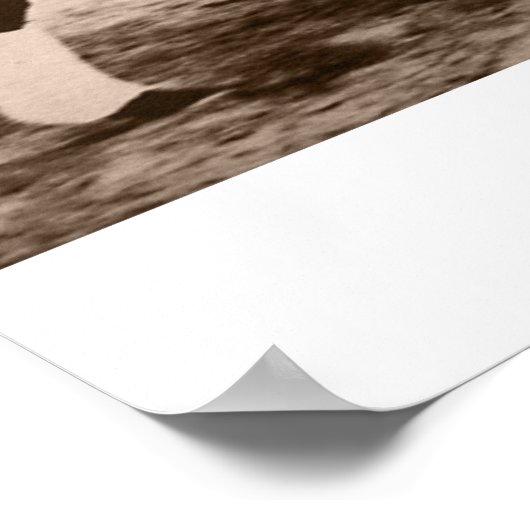 Seebewohner Poster (Ecke)