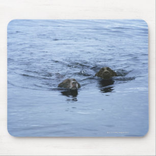 Seebezirk cumbria England Mousepad