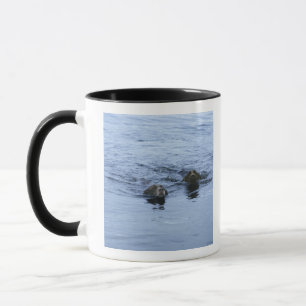 Seebezirk cumbria England Tasse