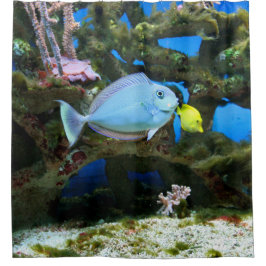 Seeblau-Fische Duschvorhang