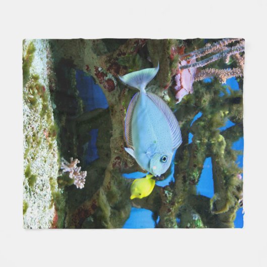 Seeblau-Fische Fleecedecke (Vorderseite (Horizontal))