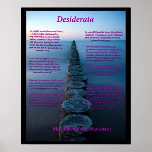 Seeblick Poster (Vorne)