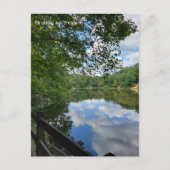 Seeblick Postkarte (Vorderseite)