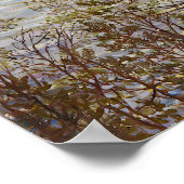 Seeblick von Akseli Gallen-Kallela Poster (Ecke)