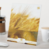 SEEBOOS SOCKELSCHILD (In Situ)