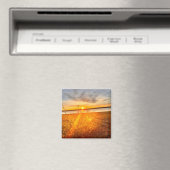 Seebrise Magnet (In Situ (Geschirrspüler))