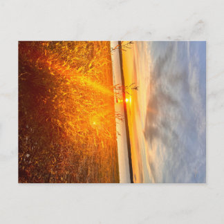 Seebrise Postkarte