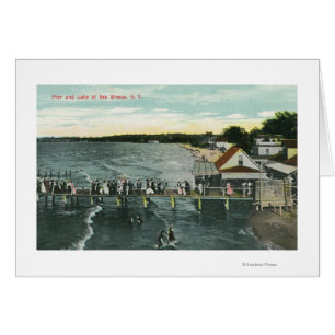 Seebrisen-Pier-und See-Szene