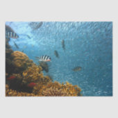 Seebuchpapier Seidenpapier (Vorderseite)