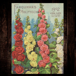 Seed Packet Red Orange 1902 Hollyhocks Vintage Seidenpapier