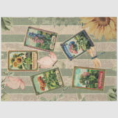 Seed Packet Vintage Sage Stripes Velvet Look Seidenpapier (Vorderseite)