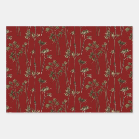 Seed Pods on a Wrapping Paper Set Geschenkpapier Set (Vorderseite)