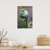 Seed Poster (Küche)